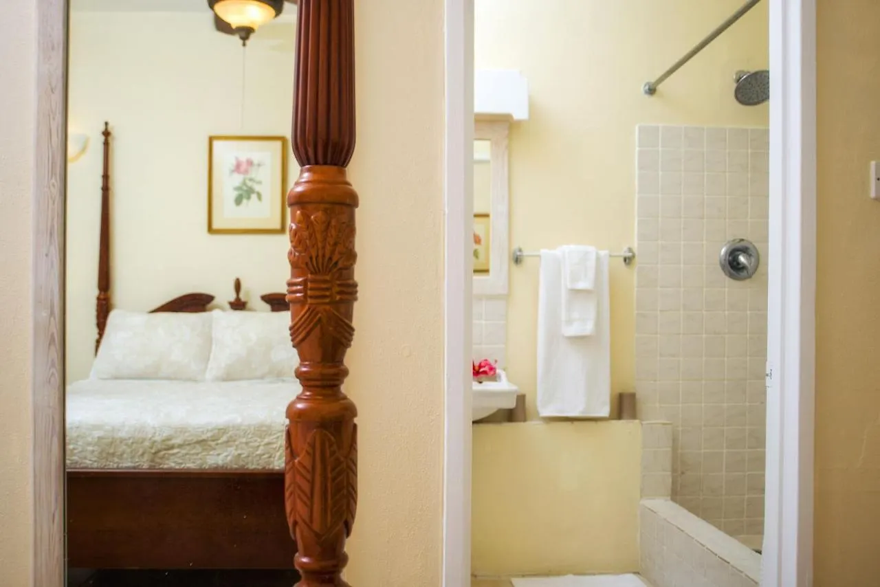 Ground Floor Apartment Located In Hometown, 5 Min Walk To The Beach セントジェームス バルバドス